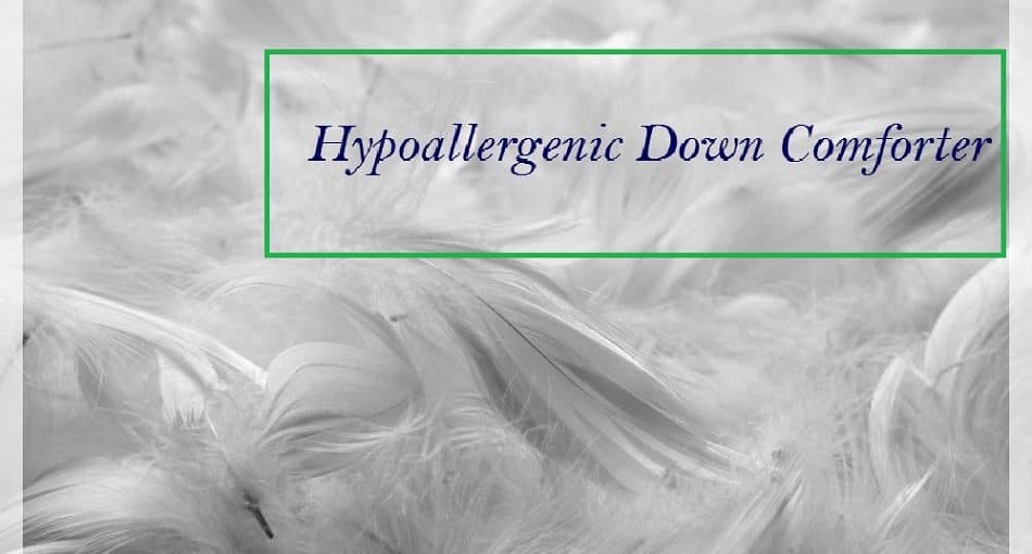 Best Hypoallergenic Down Comforter